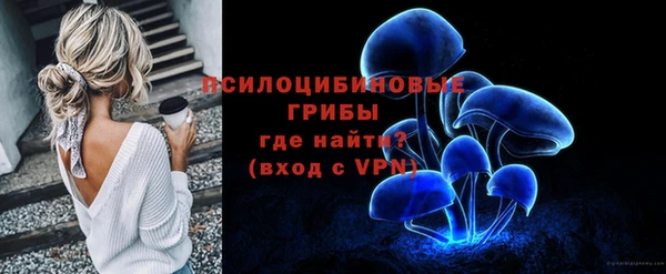 apvp Касимов