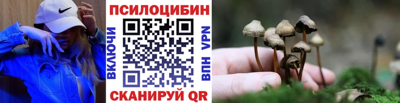 Галлюциногенные грибы MAGIC MUSHROOMS Купить где Артёмовский